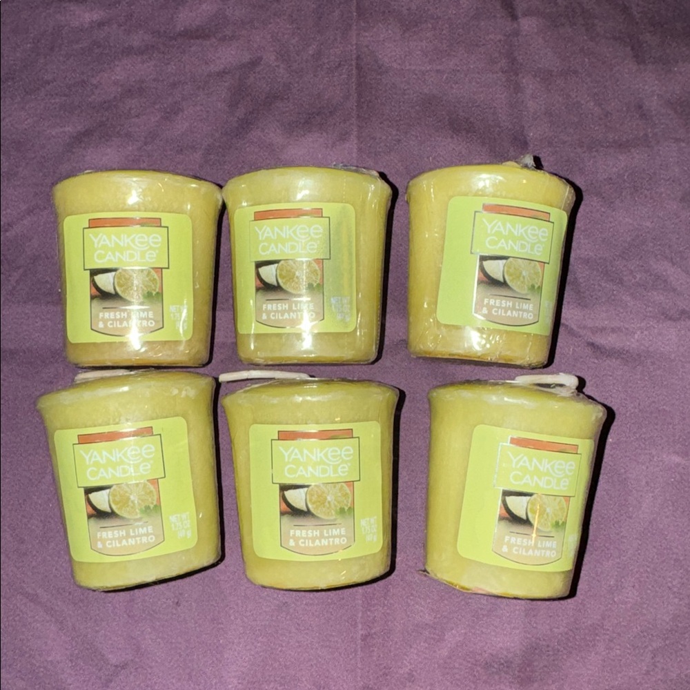 6 NEW Yankee Candle Fresh Lime & Cilantro vitives